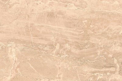 Eilat коричневая (EJN111D) 30x45