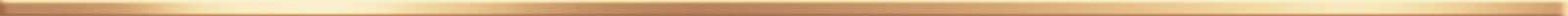 Бордюр Steel Gold BW0SST09 1,2x120