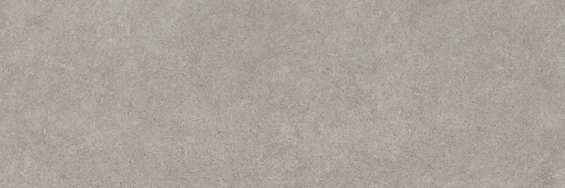 Sahel Grey 40x120