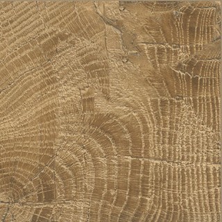 Плитка Emil 20Twenty Tronco 20x20