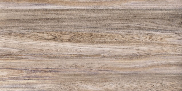 TWU09WOD404 плитка облицовочная Wood 24,9x50
