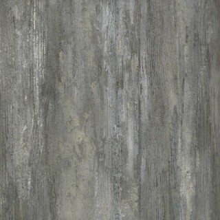 Old Tjikko Floor