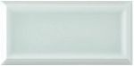 Плитка Adex Studio ADST1068 Liso Framed Fern 7,3х14,8