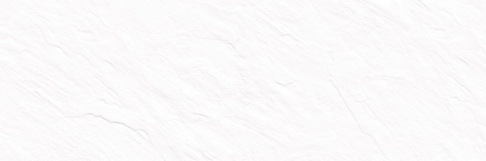 Плитка Delacora Leon White WT15LEN00R 24,6x74