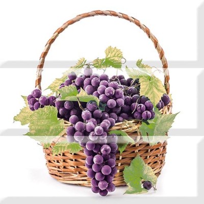 Dec. Comp. Grapes 03 A