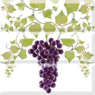 Dec. Comp. Grapes 03 B