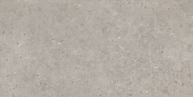 SG519920R Риккарди серый светлый матовый обрезной 60х119,5x0,9