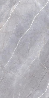 Керамогранит Риальто серый декор левый лаппатированный 60х119,5 (SG562402R)