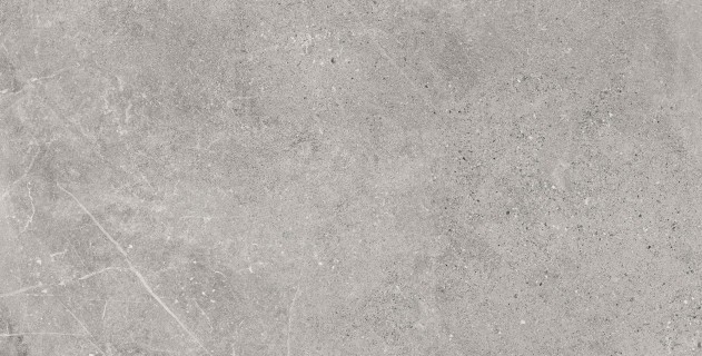 Керамогранит Baldocer Dome Ash Rect 60x120