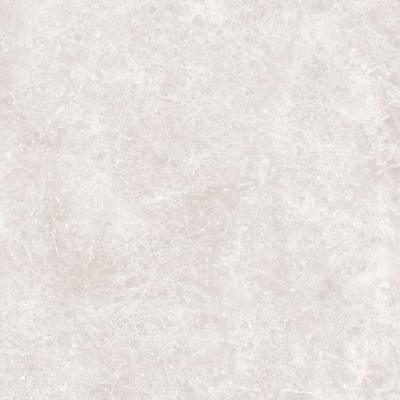 Marble Light Grey Matt Ret 59,2x59,2