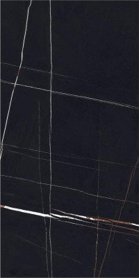 Sahara Noir Black Lappato Rect 60x120