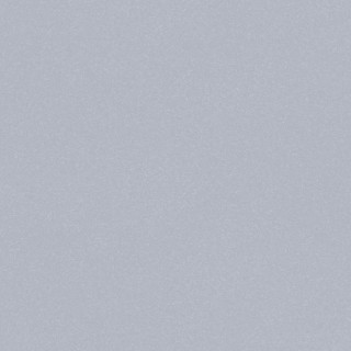 Base Neutral Gris
