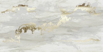 Venus Dec. Solitaire Gold-Grey 60X120 