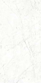 Splendida Carrara Bianco Glossy 60x120