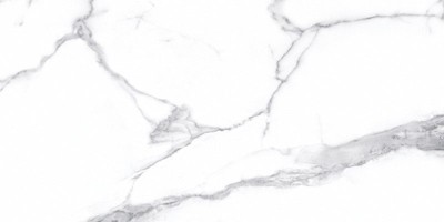 Extremewhite Statuario Bianco Rett Levigato 60x120