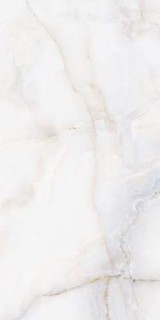 Splendida Onix White Glossy 60x120