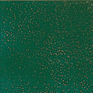 P09 Pavimento Verde Bosco 20x20