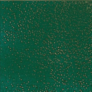 P09 Pavimento Verde Bosco 20x20