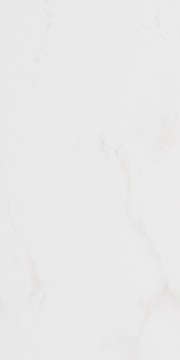 Плитка Forza Calacatta White Wall 01 25х60 (A0426Y29601)
