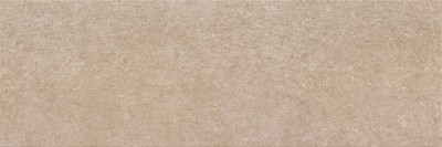 Taupe Ozone 30x90