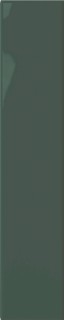 Плитка DNA Plinto Green Gloss 10,7x54,2
