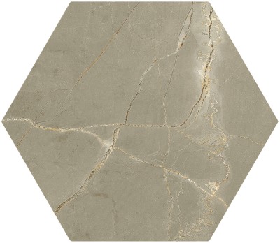 Pulpis Taupe 20x24