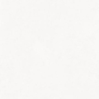 Керамогранит Pav Craft Blanco 60x60