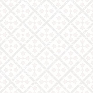 Керамогранит Monopole Guadalupe White 18,7x18,7