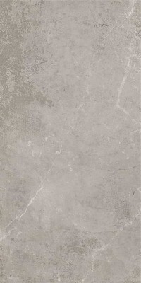 STN Ceramica Monolith Grey Rect 59.5x120