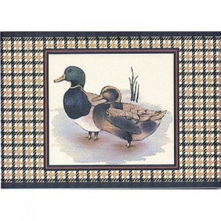 B Canard A Canard A 15x20