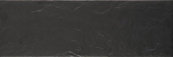 2203 Negro