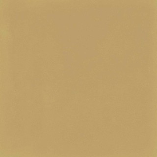 Керамогранит D_Segni Colore Mustard 20x20 (M1KT)