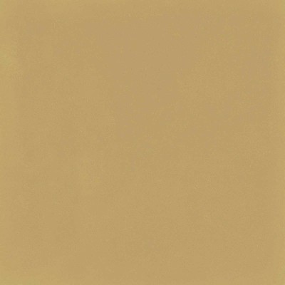 Керамогранит D_Segni Colore Mustard 20x20 (M1KT)