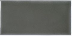 Плитка Adex Studio ADST1022 Liso Eucalyptus 9,8х19,8