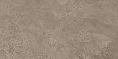 Force Grey 60x120 Матовая