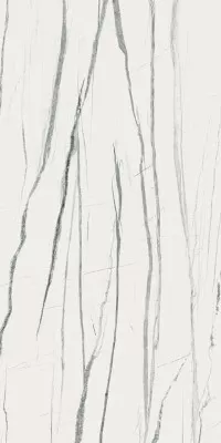 Daren Pulido Rect. Blanc 60x120 Daren Pulido Rect. Blanc 60x120