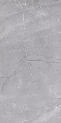 Керамогранит Риальто серый 60х119,5 (SG560700R)