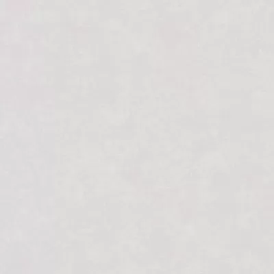 Керамогранит Emigres Microcemento Blanco 60x60