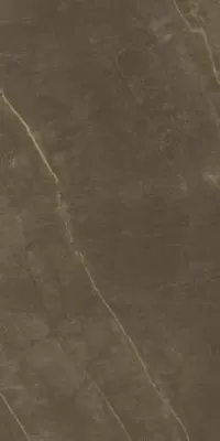 Splendida Armani Brown Glossy 60x120