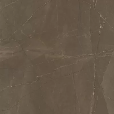Eros Pulpis Shine 60x60