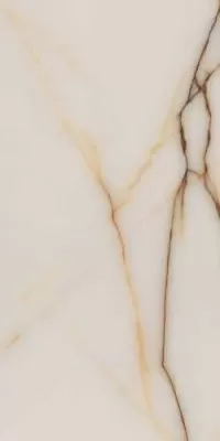 Splendida Fancy Onix Glossy 60x120