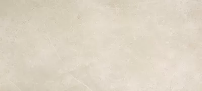 Roma Pietra 50*110 RT