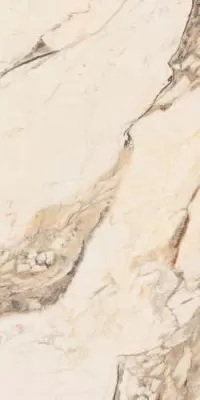 Splendida Calacatta Gold Glossy 60x120