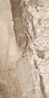 Splendida Monaco Brown Glossy 60x120