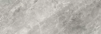 Плитка Baldocer Balmoral Grey Rectificado 40х120