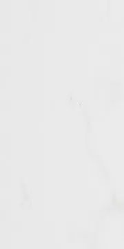 Плитка Forza Calacatta White Wall 01 25х60 (A0426Y29601)