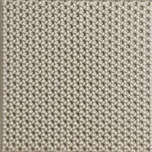 Linee Tortora