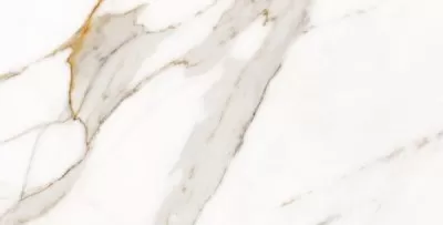 Pav. Marbles Calacatta 33x66.5