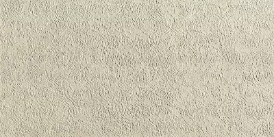 Керамогранит Fap Bloom 80x160 Print Beige