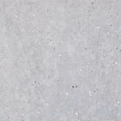 Керамогранит Codicer 95 Messel Silver 66x66